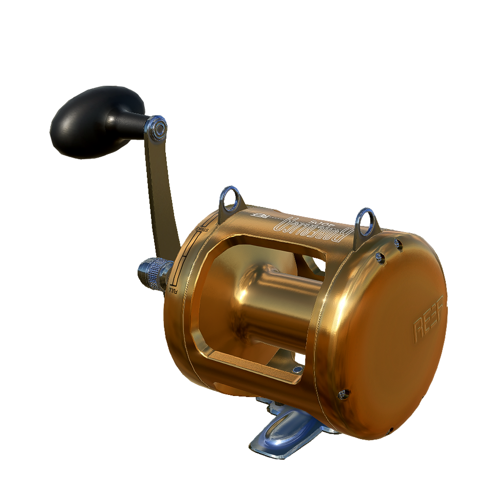 Reef Borealica 40 DS